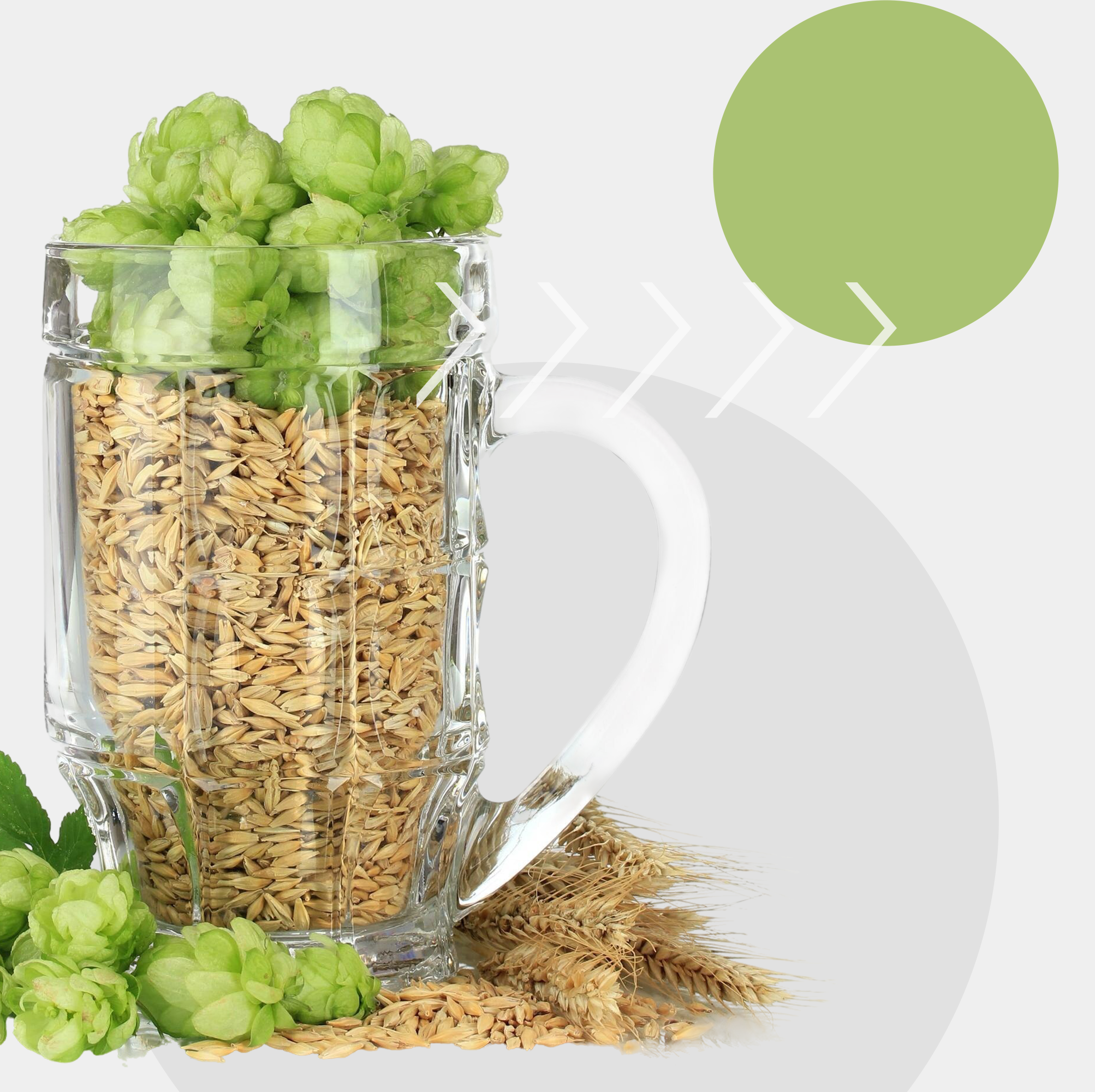 Domestic market for malt used in beer production. UOKiK report